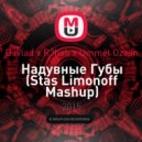 Davlad x R3hab x Ummet Ozcan - Надувные Губы (Stas Limonoff Mashup)