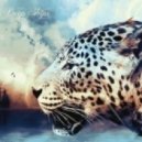 Set Collins feat. Danny - Unstoppable