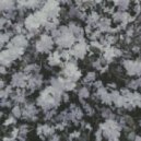 KAVERN - Everybody Knows