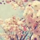 Spire - Some Day, Mornings (Original mix)