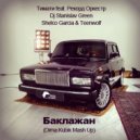Тимати feat. Рекорд Оркестр, Dj Stanislav Green, Shelco Garcia & Teenwolf - Баклажан (Dima Kubik Mash Up)