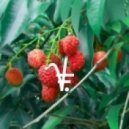 FRUIT - Too Much Litchi