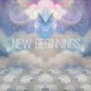 Crystal Skies - New Beginnings