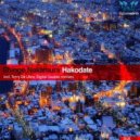 Shingo Nakamura - Hakodate
