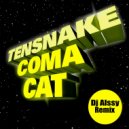 Tensnake - Coma Cat (Dj Alssy Remix)