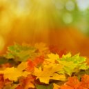 Christopher Dream - 2in1