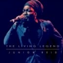 Junior Reid feat. Sizzla Kalonji - This Generation (Original mix)