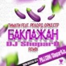 Тимати feat Рекорд Оркестр - Баклажан (DJ SheparD Remix) (PromoDJ.com)