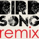 To Be Frank - Birdsong (BLU J Remix)