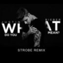 Justin Bieber - What Do You Mean