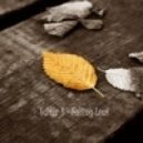 Valter B - Falling Leaf