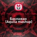 Тимати feat. Рекорд Оркестр & Kirillich & Karp - Баклажан (Aquila mashup)