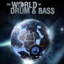 ALЁnka - The World of DNB