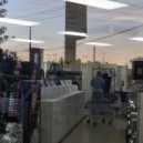 Dylan Brady - Take Care Of My Dog When I'm Gone