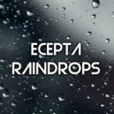 Ecepta - Raindrops