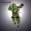 Indigolab - The Outlander