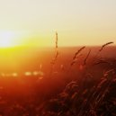 Christopher Dream - Summerbreeze