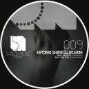 Antonio Shirik - Best Sighting (Locarini Remix)