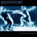 Intended Immigration - We\'ve Got What You Want (Dub Swing Mix)