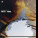Airbas - Smart Dust
