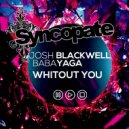 Miss Babayaga DJ, Dj Josh Blackwell - Without You (Original)
