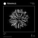 Scam. - Terraforming