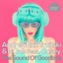 Andrey Exx, Troitski & I-One Ft. Casey - The Sound of Goodbye (Funkfresh Remix)