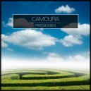 Camoufia - Void (Original Mix)