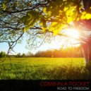 Comb In A Pocket - Through The Gates Of Perception (Original Mix)