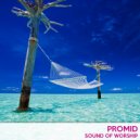 Promid - Trailing Ancestors (Original Mix)