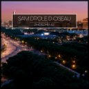 Sam Drole D Oiseau - Neige (Original Mix)