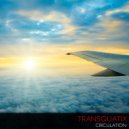 Transquatix - Triumph Of A Heart (Original Mix)