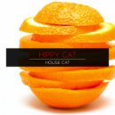 Hippy Cat - Hello Hippy