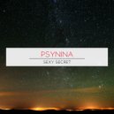 PsyNina - Necrastate Pattern (Original Mix)