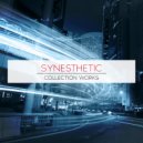 Pakman - Some Noise (Synesthetic Remix)