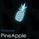 Warpsize - PineApple (Original Mix)