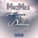 Markus Schulz feat. Delacey - Destiny (MuzMes remix)