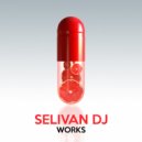 Selivan Dj - Loony Bin (Original Mix)