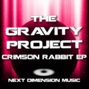 The Gravity Project - Next Stop (Original Mix)