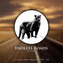 Spy89 - Endless Roads (Original Mix)
