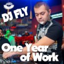 Dj Fly - One year of work ()