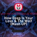 Calvin Harris & Disciples & NEDDO - How Deep Is Your Love & The Wolf (DJ Shanson Mash UP) (Mash UP)