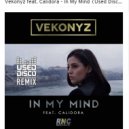 Vekonyz - In My Mind