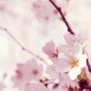 Sensi Sye - When I Miss You