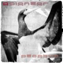 Apianear - Home, Sweet Home - back door