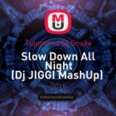 Tujamo vs Dj Snake - Slow Down All Night (Dj JIGGI MashUp)