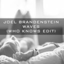 Joel Brandenstein - Waves (Who Knows Edit)