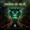 Order Of Elim - Carrier Signal (Original Mix)