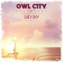 Owl City - Fireflies (Said The Sky Remix)