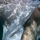 Anubis XIII - Domain